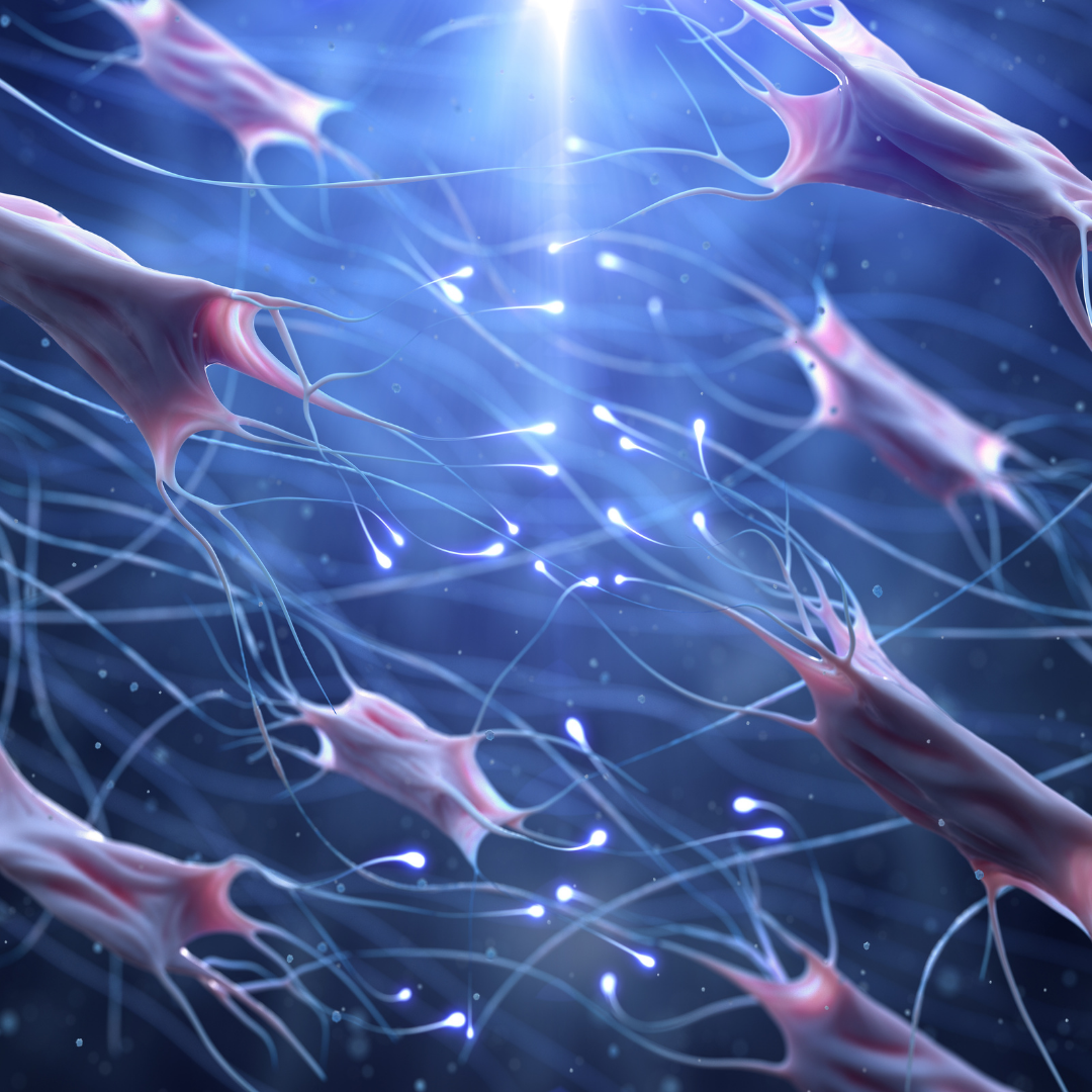 Kollagen: Was ist das und wie wirkt es?