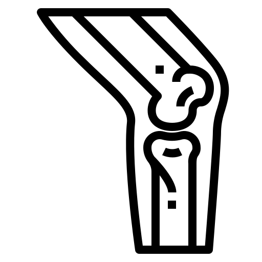 Gelenkgesundheit
